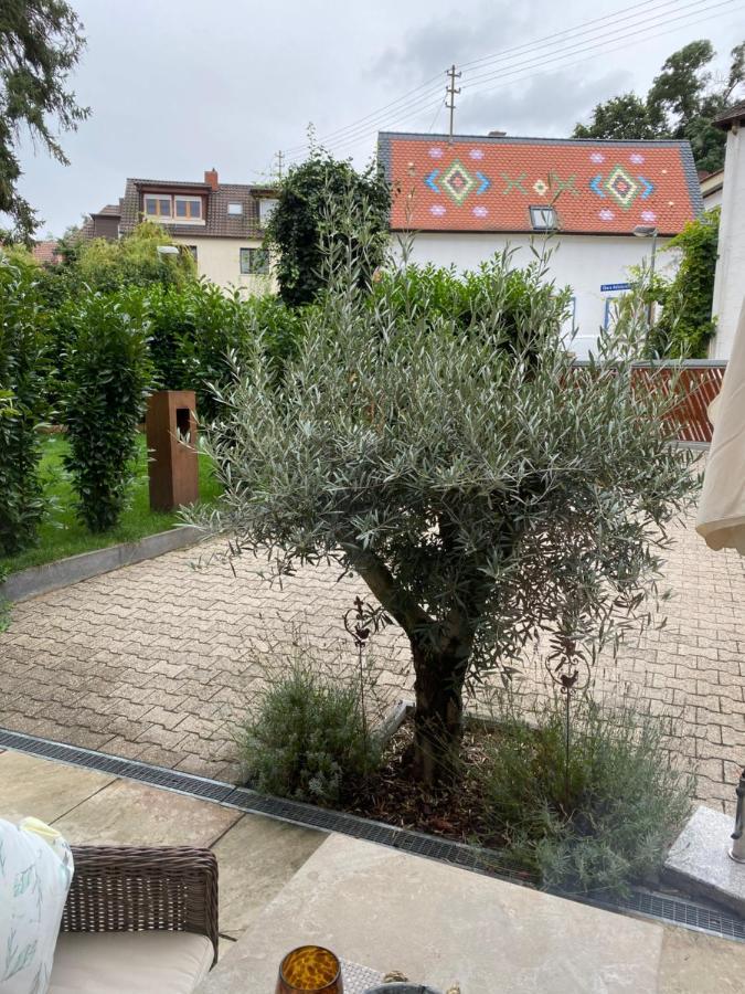 דיידסהאם Apartment Am Weinberg מראה חיצוני תמונה